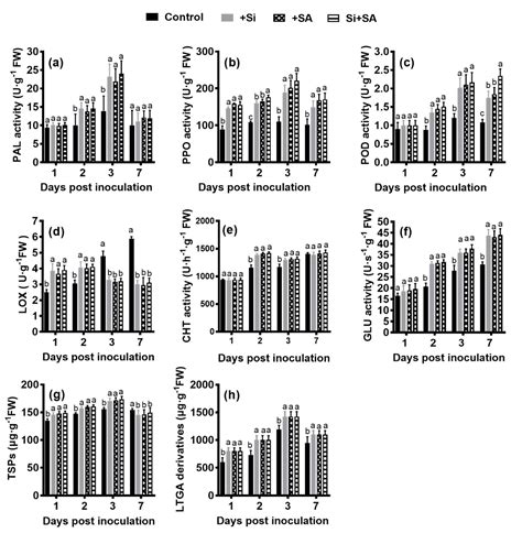 Effects of Combined Application of Potassium Silicate and Salicylic ...