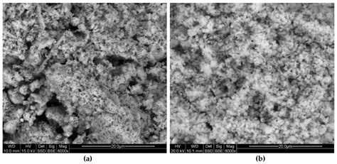 The Miocene Lacustrine Chalk from Lignite Bełchatów Deposit (Poland ...