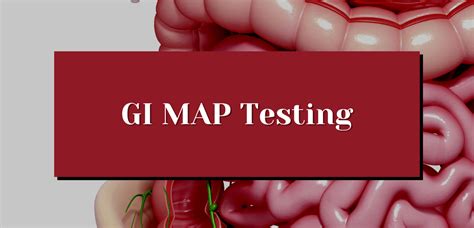 GI Map Testing 的图像结果