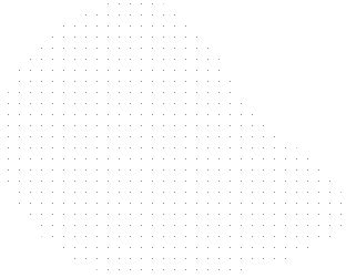 Home One | NetSecurus