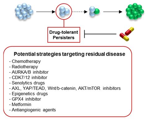Early Steps of Resistance to Targeted Therapies in Non-Small-Cell Lung ...