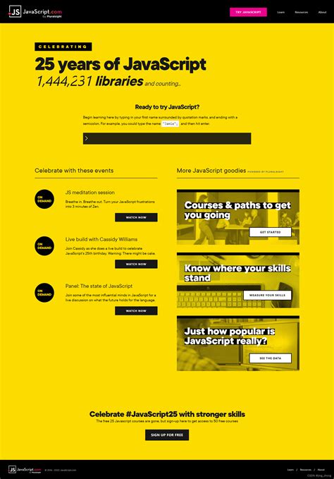 JavaScript API Insightly 的图像结果