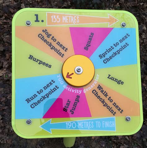 Image result for How to Program Generator to Exercize