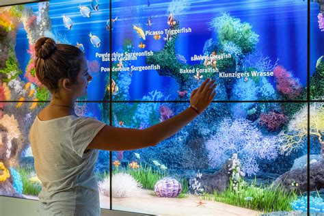 Virtual Aquarium 的图像结果