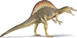 Safari Ltd Carn Spinosaurus - Carn Spinosaurus . shop for Safari Ltd ...