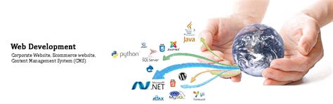 Prosoft Solution
