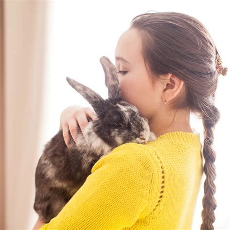 Are Rabbits Good Pets? A Comprehensive Guide, Pros and Cons