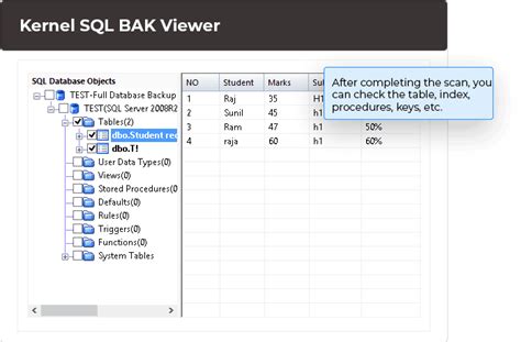 Image result for Bak File Viewer