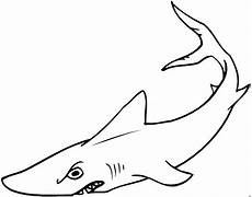 hai malvorlagen grimmiger hai 2 ausmalbild malvorlage tiere hai malvorlagen grimmiger hai 2 ausmalbild malvorlage tiere