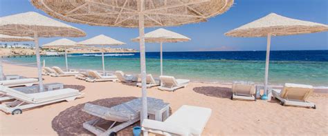 Beaches in Alexandria: Explore these Stunning Attractions for ...