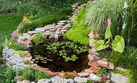 美麗的庭院+水池=完美（另附水池製作的詳細步驟） - 每日頭條