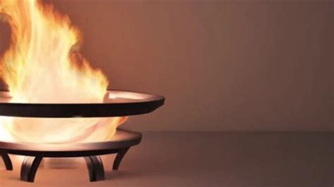 Tutorial Firel 的图像结果