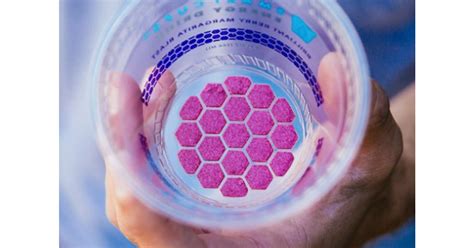 Smart Cups and Compana Pet Brands Forge Exclusive Two-Year Partnership