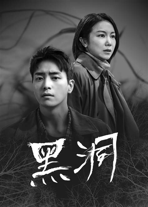 黑洞电视剧黑洞电视剧免费完整版2022已更新今日资讯