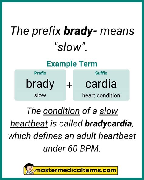 Medical Prefixes that Describe the Time or Speed - Master Medical Terms