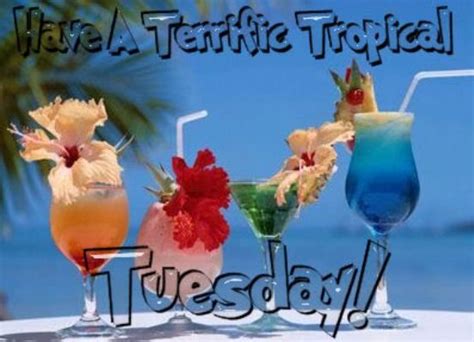 Have A Terrific Tuesday - DesiComments.com