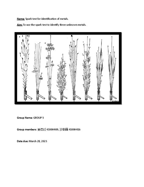 Spark Test - Kun Shan University - Name: Spark test for identification ...