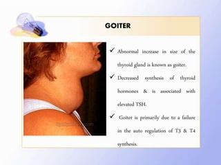 Image result for Thyroid Function Algorithm