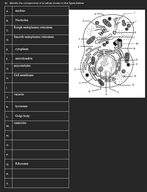 Cell Components 的图像结果