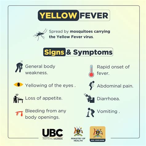 Yellow Fever Symptoms Yellow Fever Vaccine Fractional Dosing – A