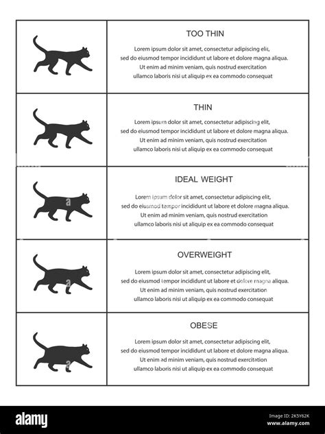 Cat Weight Chart By Breed at Oscar Gregory blog