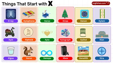 29 Things That Start with X – Foods, Objects, and Science List