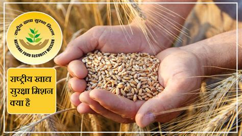 राष्ट्रीय खाद्य सुरक्षा अधिनियम | National Food Security Act | NFSA
