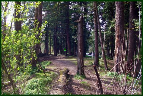 Hole 17 • Dabney State Park (Troutdale, OR) | Disc Golf Courses | Disc ...