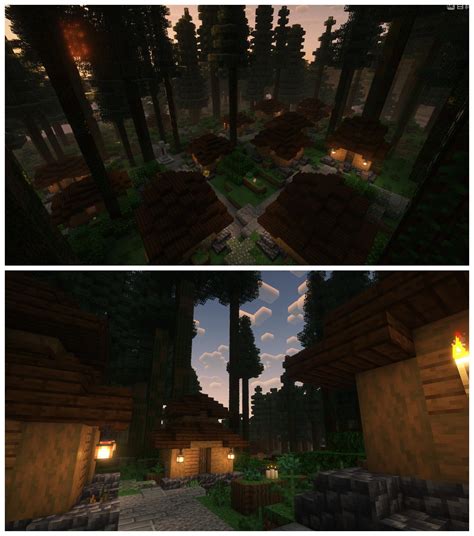 Old Growth Pine Taiga