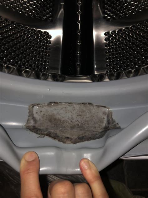 Image result for How Do You Remove Mold and Mildew From Front Loading Washing Machine
