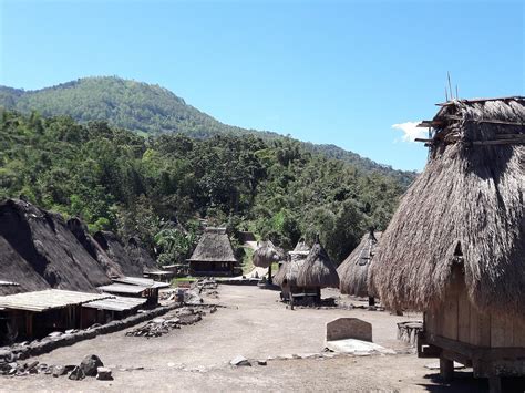 THE 10 BEST Places to Visit in Bajawa (2025) - Must-See Attractions