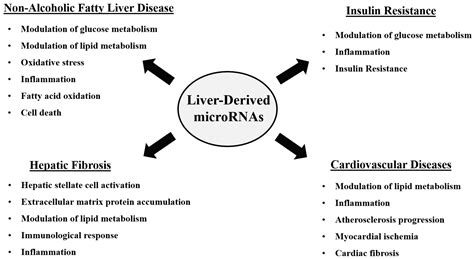 Insight into the Inter-Organ Crosstalk and Prognostic Role of Liver ...