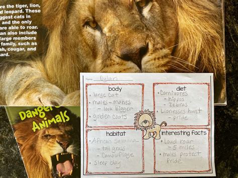 Informative Writing First Grade 的图像结果