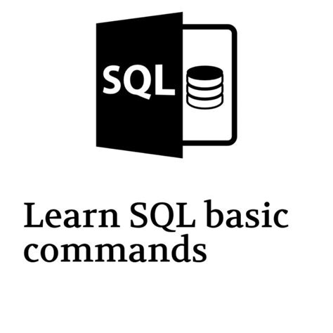 SQL Commands Learn Coding 的图像结果