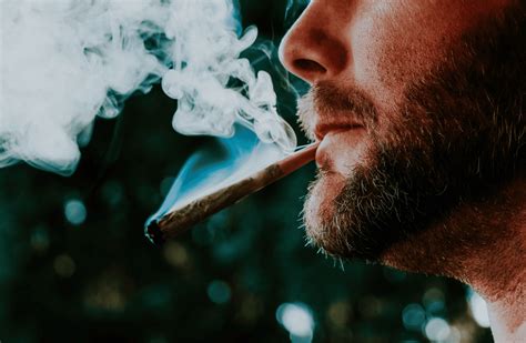 Names for Weed: Common Slang for Marijuana