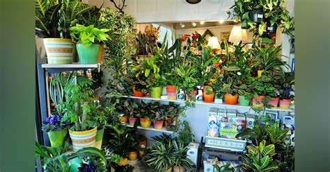The Globe Nursery | LBB