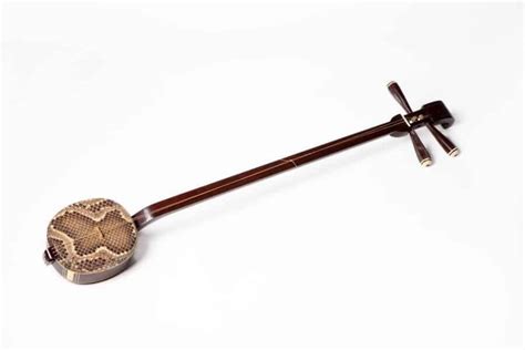 Image result for Chinese Stringed Instruments