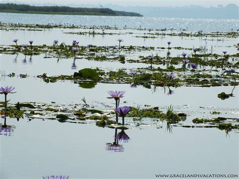 GRACELANDS AFRICAN VACATIONS - All You Need to Know BEFORE You Go 2026 ...