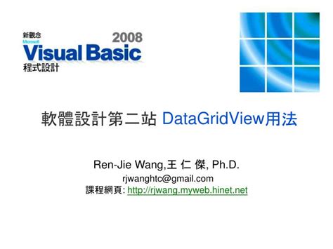 DataGridView Tutorial 的图像结果