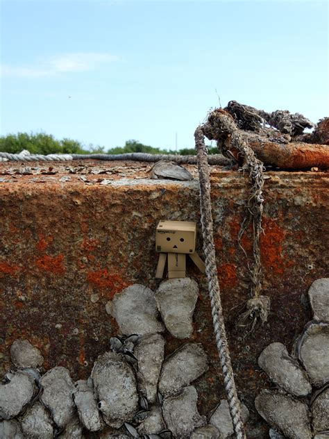 Free photo: Amazon Robot at Sea - Amazon, Ground, Robot - Free Download ...
