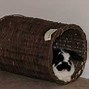 Image result for Funny Rabbit Toys