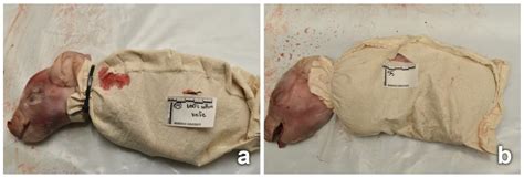 Qualitative Analyses of Textile Damage (Cuts and Tears) Applied to ...