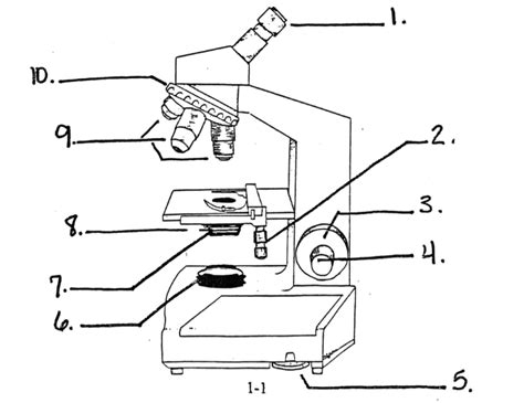 Image result for Cell Diffusion Microscope