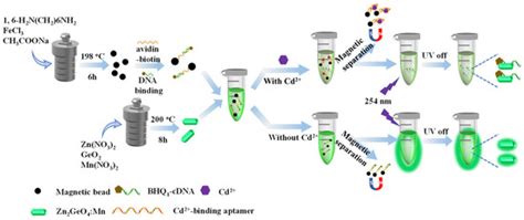 A Highly Sensitive “on-off” Time-Resolved Phosphorescence Sensor Based ...