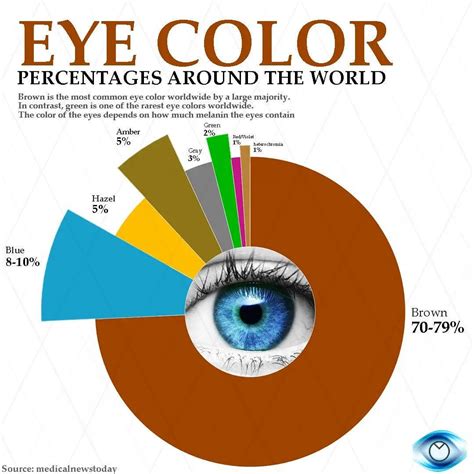 Eye Color Chart Percentage Eye Colour Percentage: What Is The Most