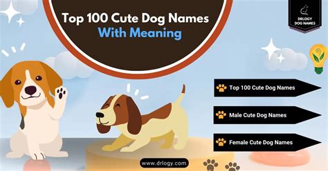 Image result for Most Common Dog Names