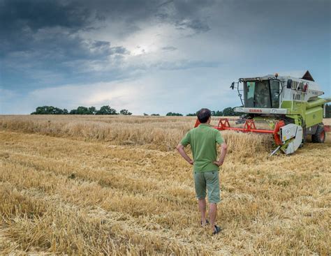 Erntekarte 2023: Diese Erträge liefert die Gerste aktuell | agrarheute.com