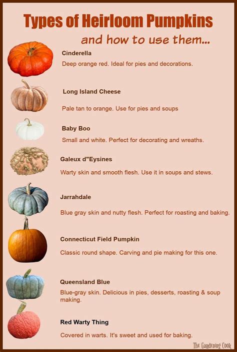 Pin by Alaina on Autumn🍂 | Food garden, Pumpkin garden, Pumpkin varieties