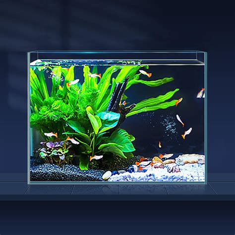 LAQUAL 3 Gallon Ultra Clear Glass Fish Tank, Rimless Low Iron Aquarium ...