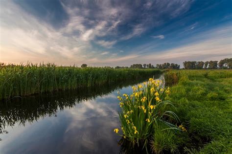 Photo 的图像结果